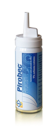 Pirobec 1% schiuma cutanea - contenitore sotto pressione 50 g